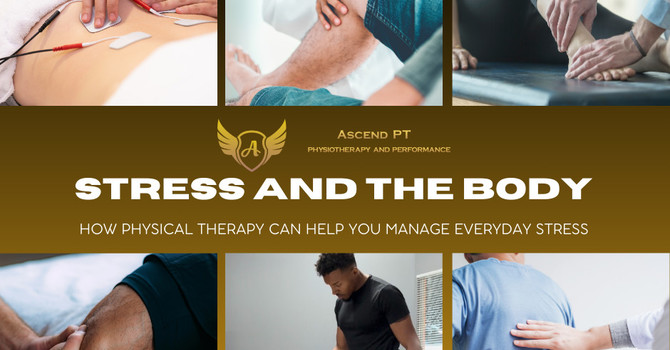 Stress and the Body: How Physical Therapy Can Help You Manage Everyday Stress image