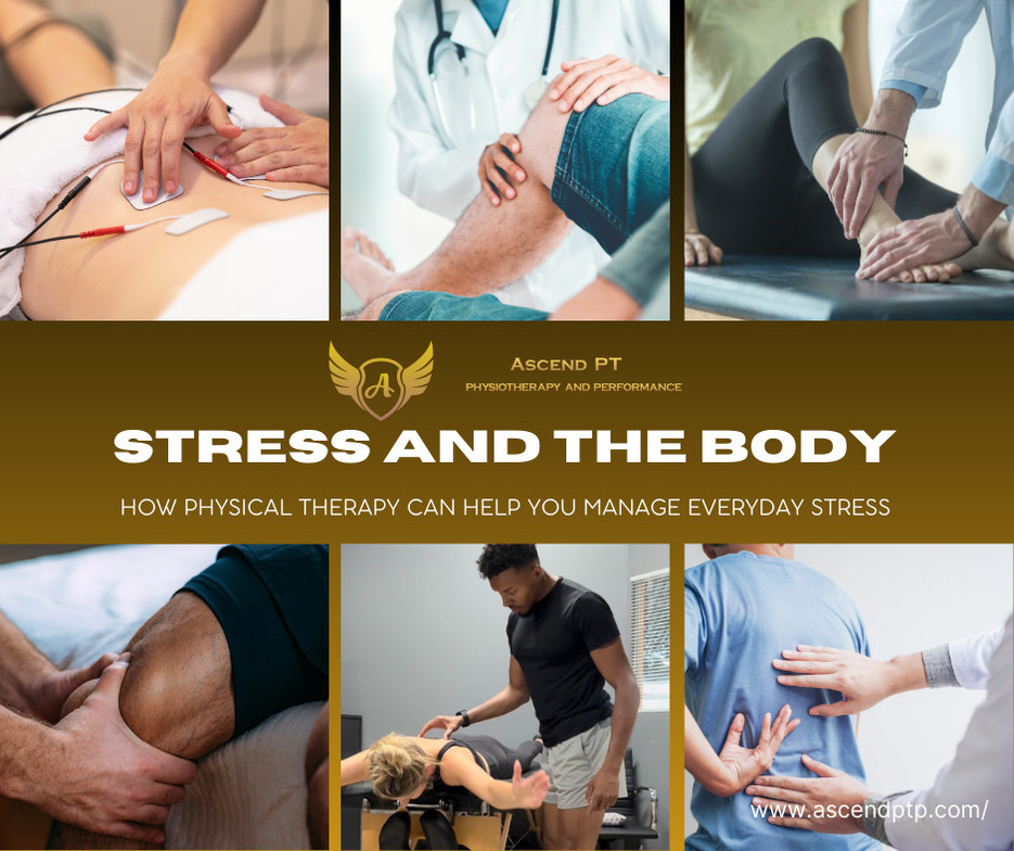 Stress and the Body: How Physical Therapy Can Help You Manage Everyday Stress