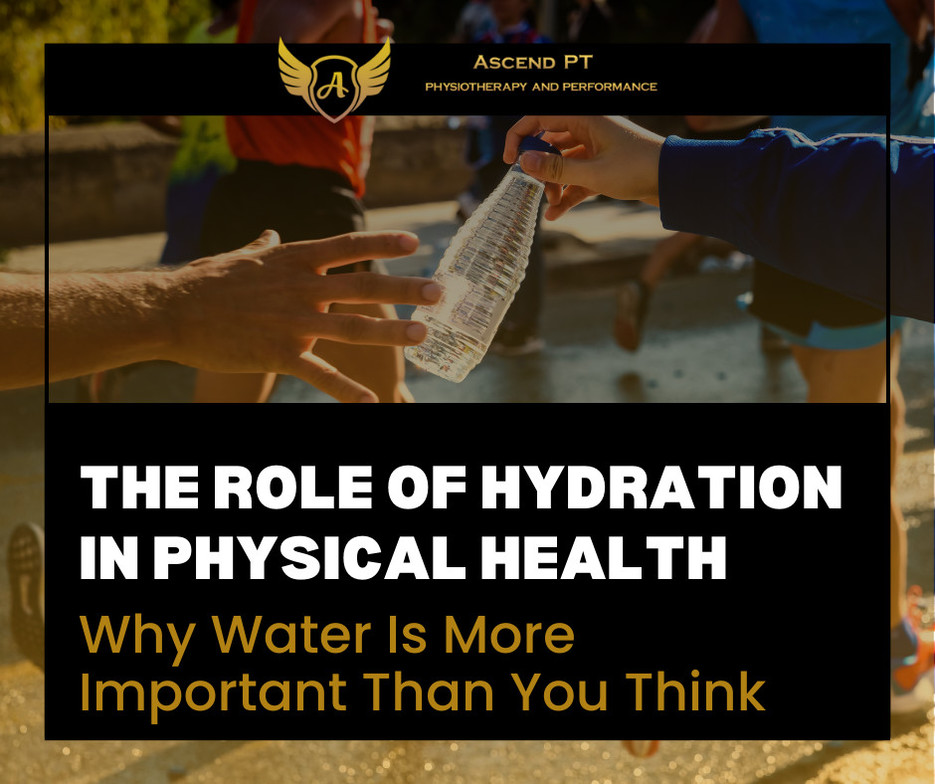 The Role of Hydration in Physical Health: Why Water Is More Important Than You Think